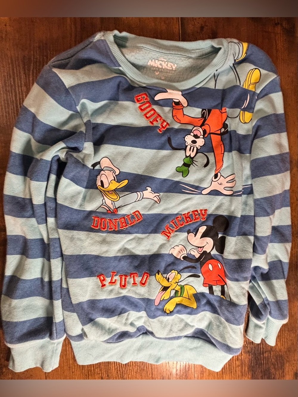 Disney Blue Striped Long Sleeve Mickey & Friends Top